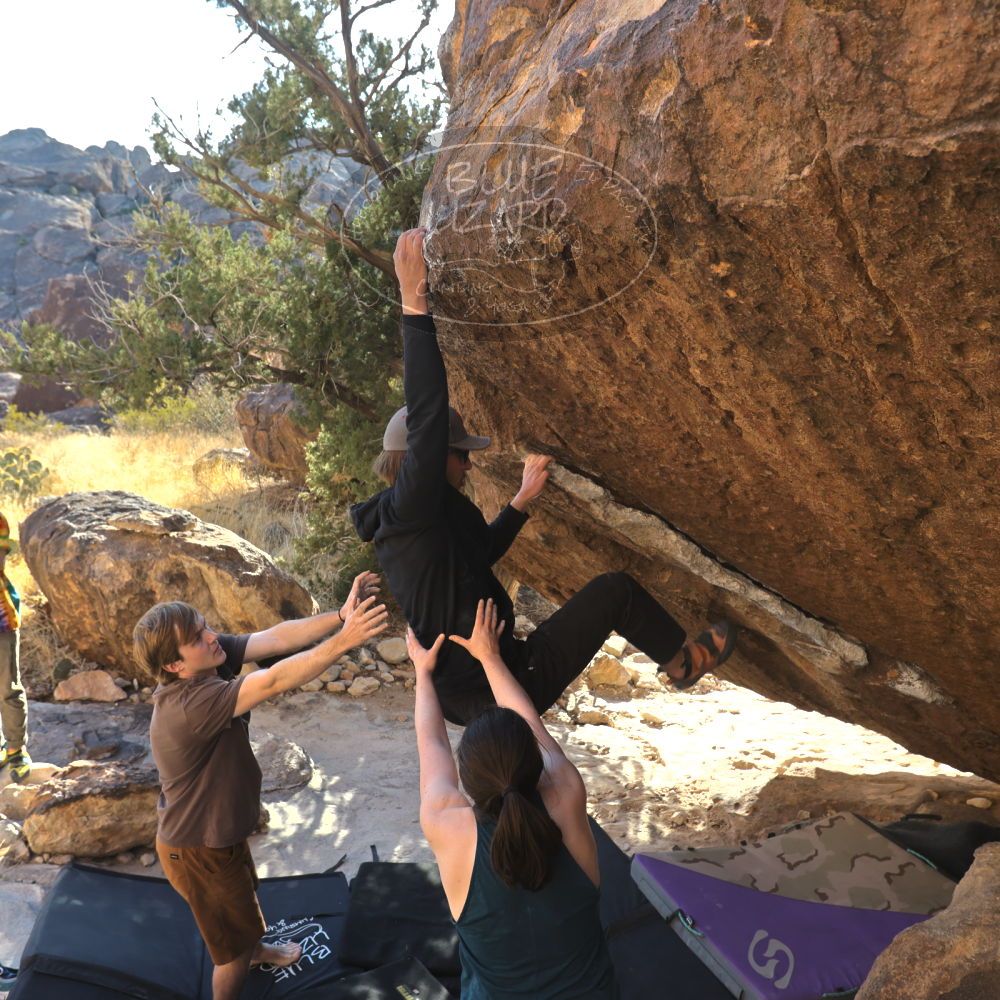 

Filename: SRM_20220305_1636080.jpg
Aperture: f/5.6
Shutter Speed: 1/250
Body: Canon EOS R6
Lens: Canon EF 16-35mm f/2.8 L