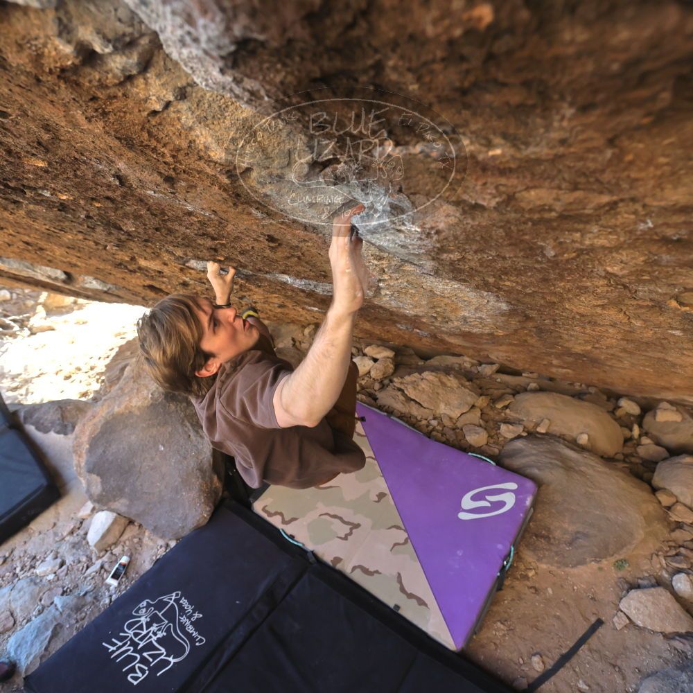 

Filename: SRM_20220305_1653430.jpg
Aperture: f/5.6
Shutter Speed: 1/400
Body: Canon EOS R6
Lens: Canon EF 16-35mm f/2.8 L