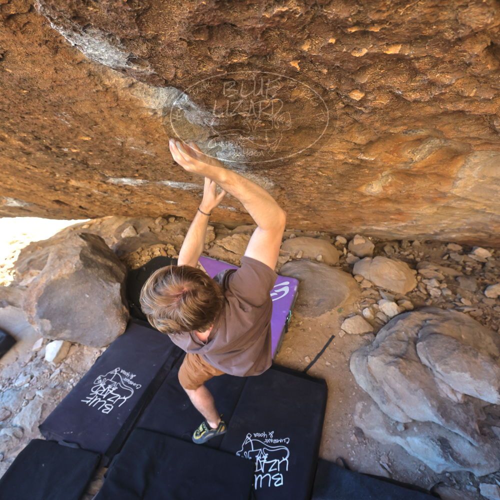 

Filename: SRM_20220305_1655410.jpg
Aperture: f/5.6
Shutter Speed: 1/400
Body: Canon EOS R6
Lens: Canon EF 16-35mm f/2.8 L