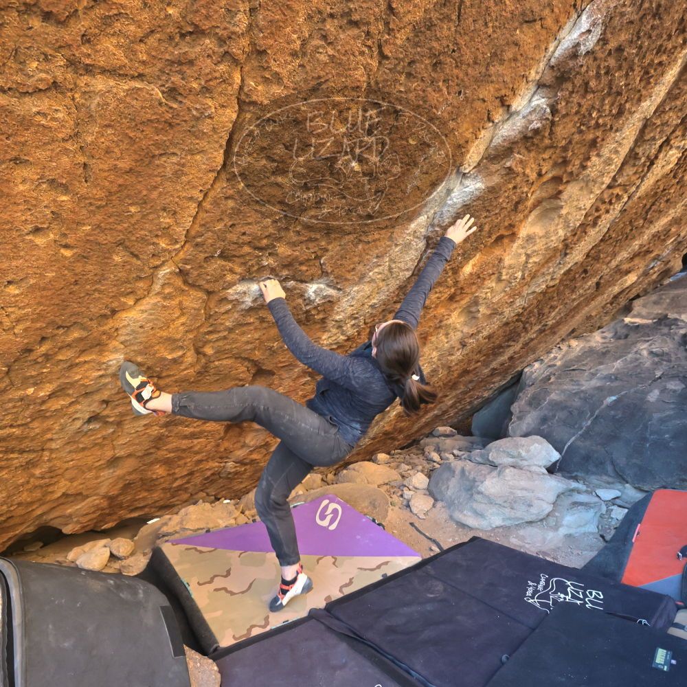 

Filename: SRM_20220305_1713080.jpg
Aperture: f/5.6
Shutter Speed: 1/500
Body: Canon EOS R6
Lens: Canon EF 16-35mm f/2.8 L