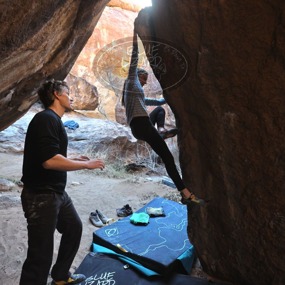 Filename: SRM_20220313_0939280.jpg
Aperture: f/4.0
Shutter Speed: 1/250
Body: Canon EOS R6
Lens: Canon EF 16-35mm f/2.8 L