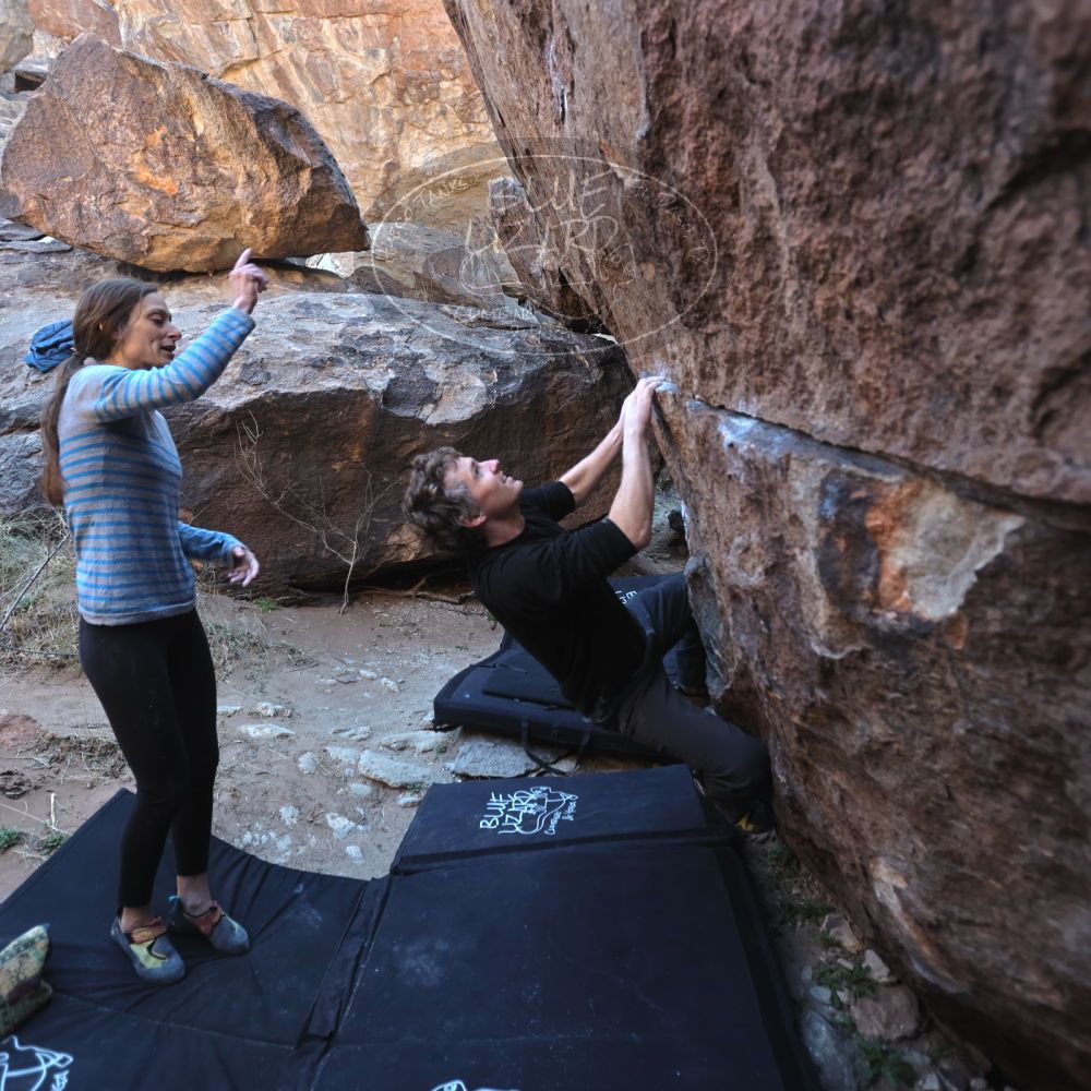 

Filename: SRM_20220313_0957140.jpg
Aperture: f/3.2
Shutter Speed: 1/250
Body: Canon EOS R6
Lens: Canon EF 16-35mm f/2.8 L