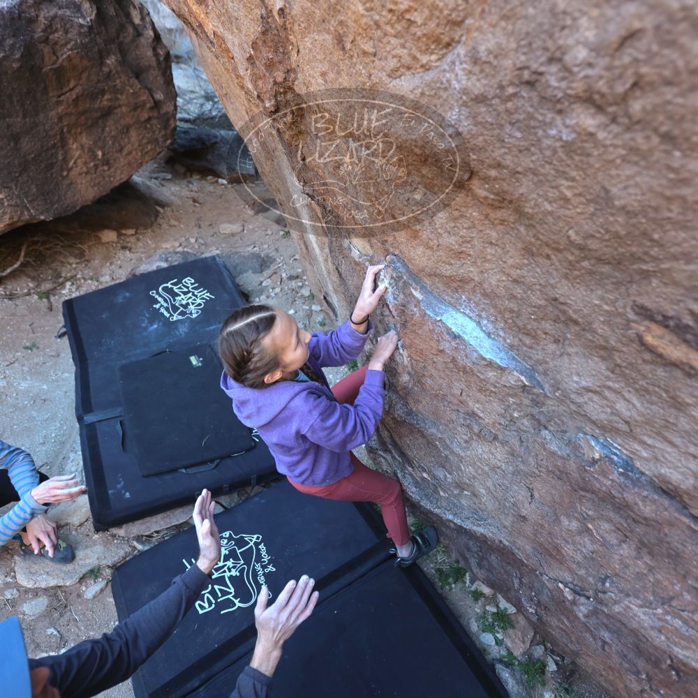 Filename: SRM_20220313_1003160.jpg
Aperture: f/3.2
Shutter Speed: 1/250
Body: Canon EOS R6
Lens: Canon EF 16-35mm f/2.8 L