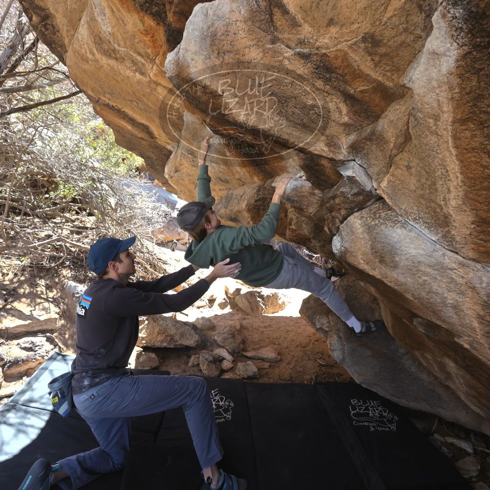 Filename: SRM_20220313_1133490.jpg
Aperture: f/5.6
Shutter Speed: 1/250
Body: Canon EOS R6
Lens: Canon EF 16-35mm f/2.8 L