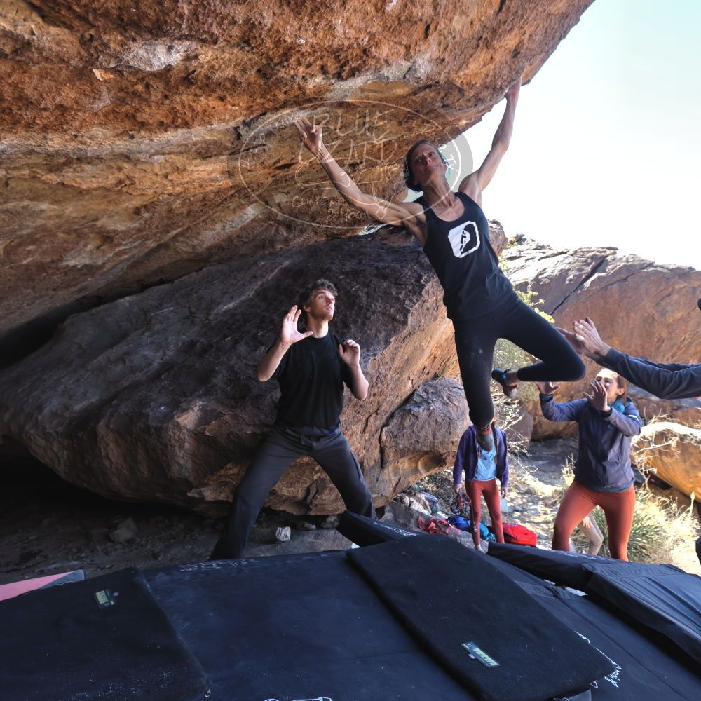 

Filename: SRM_20220313_1201230.jpg
Aperture: f/5.6
Shutter Speed: 1/250
Body: Canon EOS R6
Lens: Canon EF 16-35mm f/2.8 L