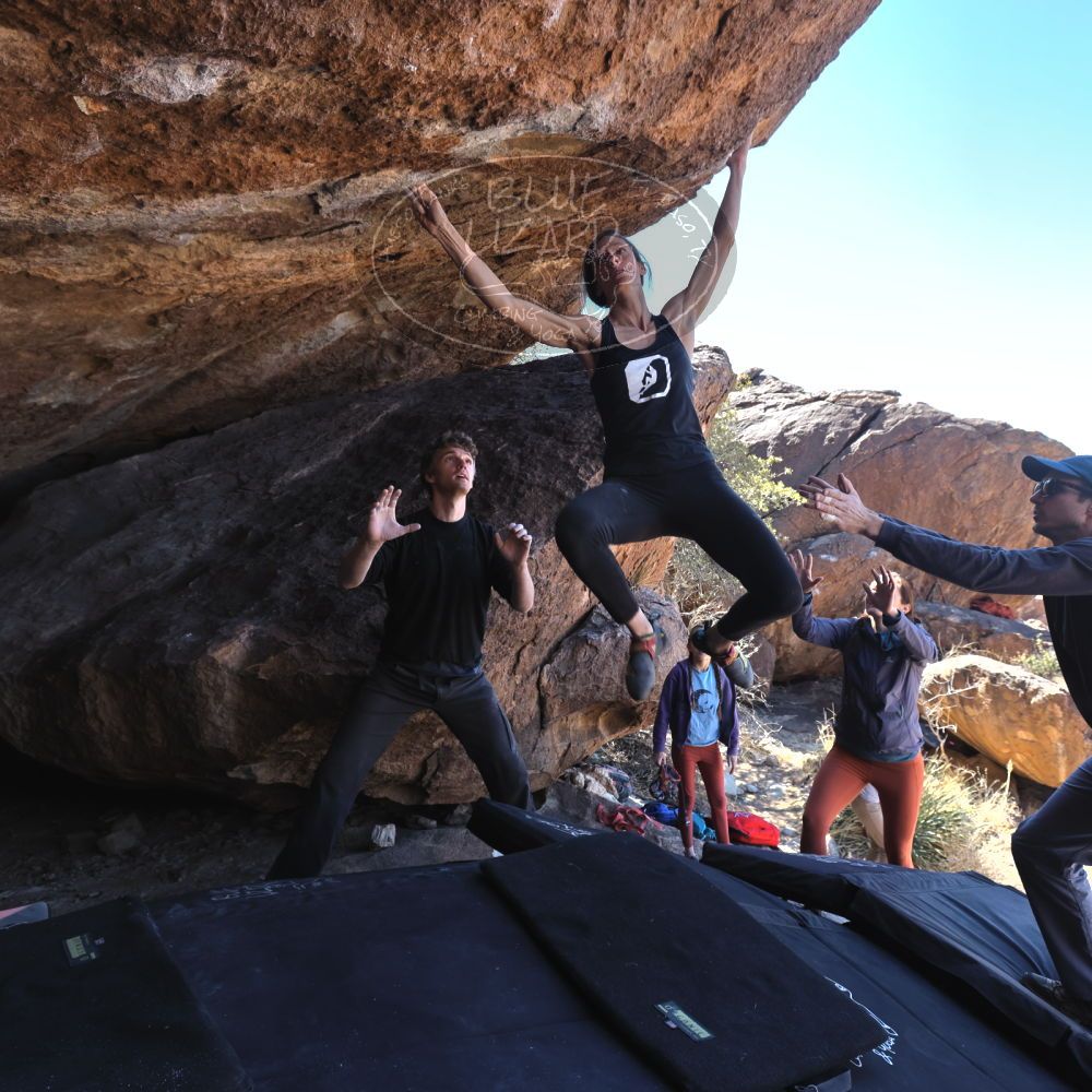 

Filename: SRM_20220313_1201235.jpg
Aperture: f/5.6
Shutter Speed: 1/250
Body: Canon EOS R6
Lens: Canon EF 16-35mm f/2.8 L