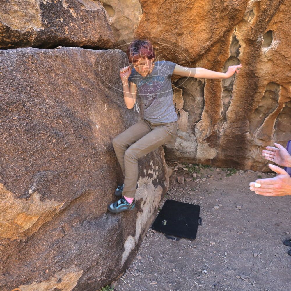 

Filename: SRM_20220313_1402422.jpg
Aperture: f/5.6
Shutter Speed: 1/320
Body: Canon EOS R6
Lens: Canon EF 16-35mm f/2.8 L