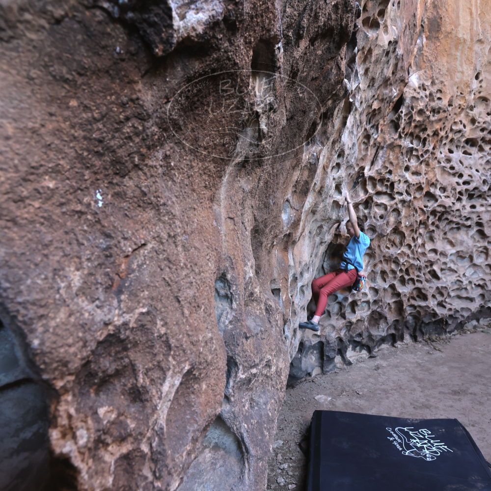 Filename: SRM_20220313_1505410.jpg
Aperture: f/5.6
Shutter Speed: 1/100
Body: Canon EOS R6
Lens: Canon EF 16-35mm f/2.8 L