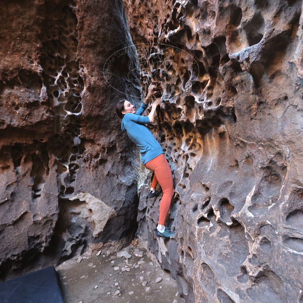 

Filename: SRM_20220313_1507240.jpg
Aperture: f/5.6
Shutter Speed: 1/100
Body: Canon EOS R6
Lens: Canon EF 16-35mm f/2.8 L