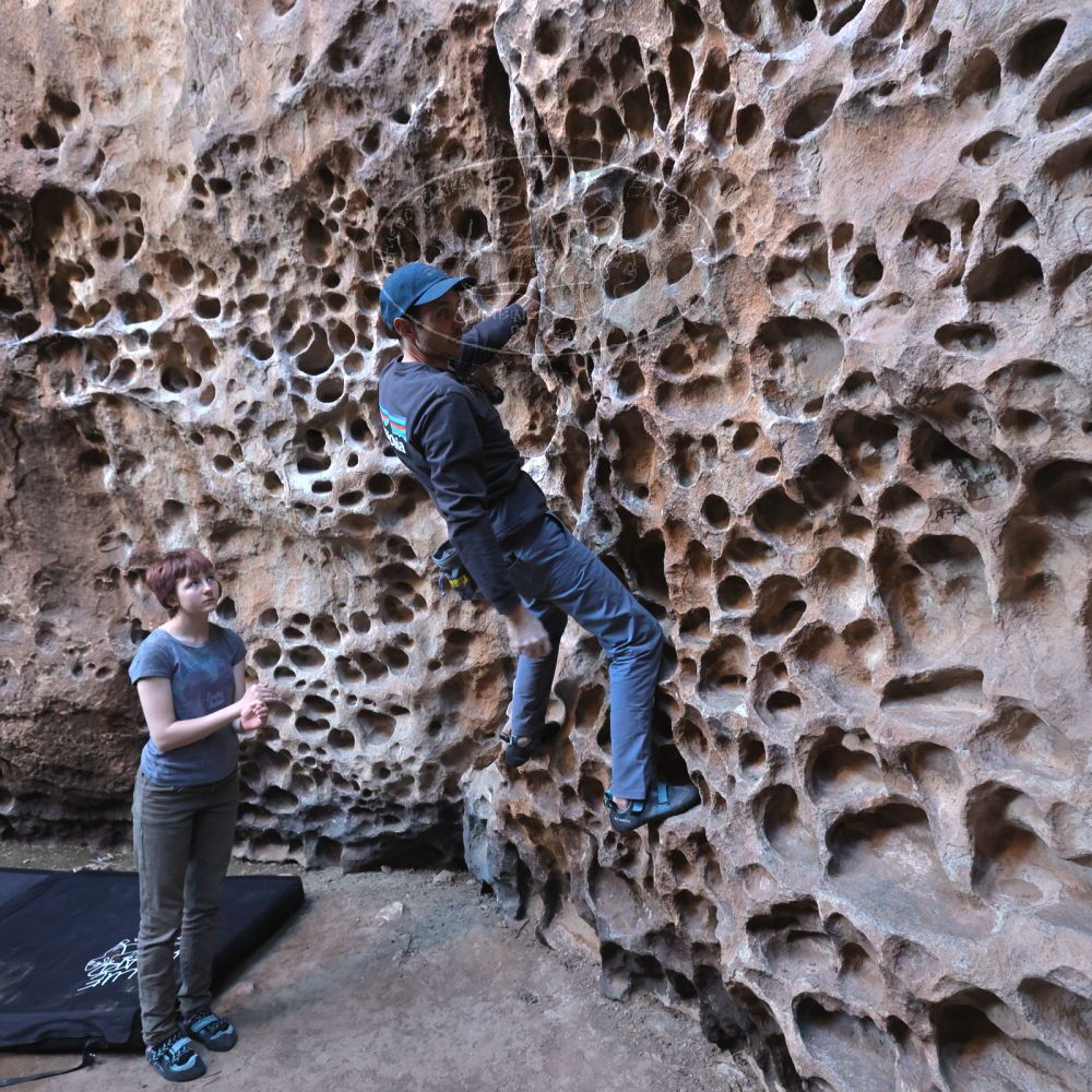 

Filename: SRM_20220313_1507430.jpg
Aperture: f/5.6
Shutter Speed: 1/100
Body: Canon EOS R6
Lens: Canon EF 16-35mm f/2.8 L