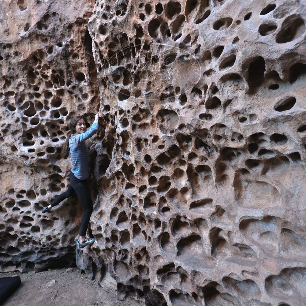 

Filename: SRM_20220313_1509470.jpg
Aperture: f/4.0
Shutter Speed: 1/100
Body: Canon EOS R6
Lens: Canon EF 16-35mm f/2.8 L