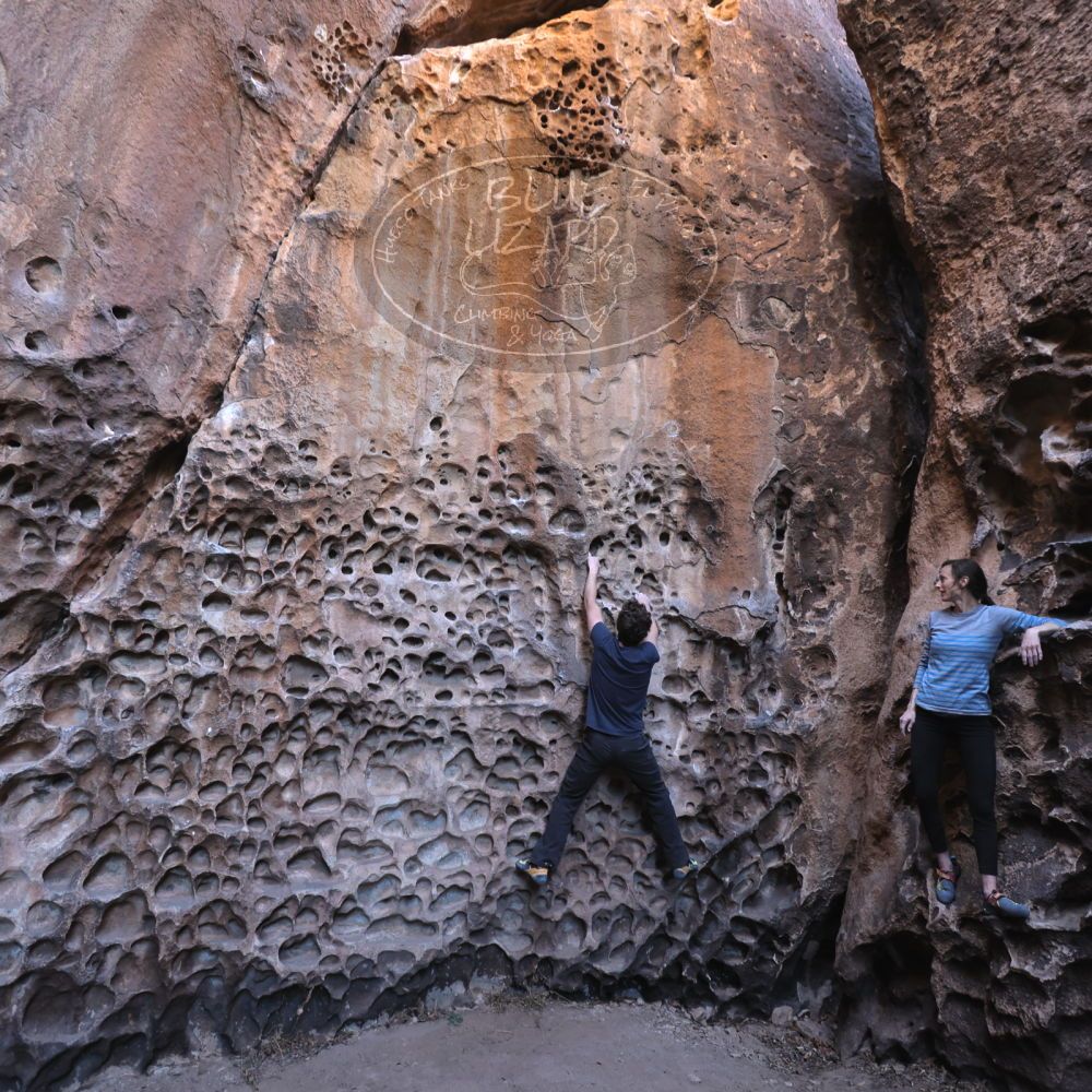 

Filename: SRM_20220313_1512250.jpg
Aperture: f/4.0
Shutter Speed: 1/100
Body: Canon EOS R6
Lens: Canon EF 16-35mm f/2.8 L