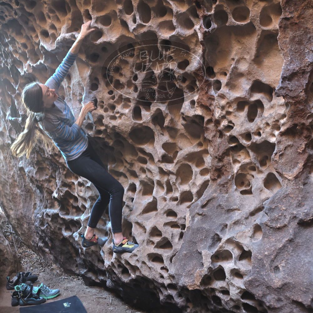 Filename: SRM_20220313_1517060.jpg
Aperture: f/2.8
Shutter Speed: 1/100
Body: Canon EOS R6
Lens: Canon EF 50mm f/1.8 II