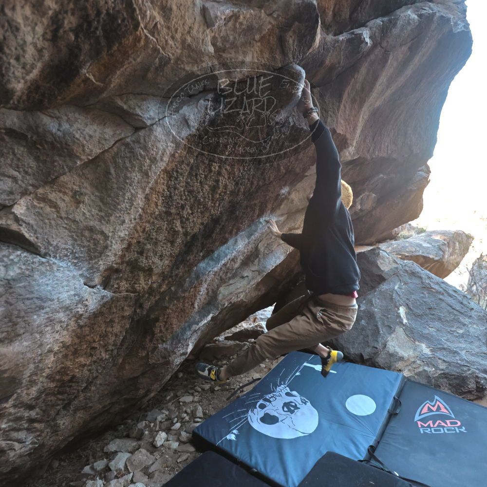 Filename: SRM_20220319_0831431.jpg
Aperture: f/4.0
Shutter Speed: 1/500
Body: Canon EOS R6
Lens: Canon EF 16-35mm f/2.8 L