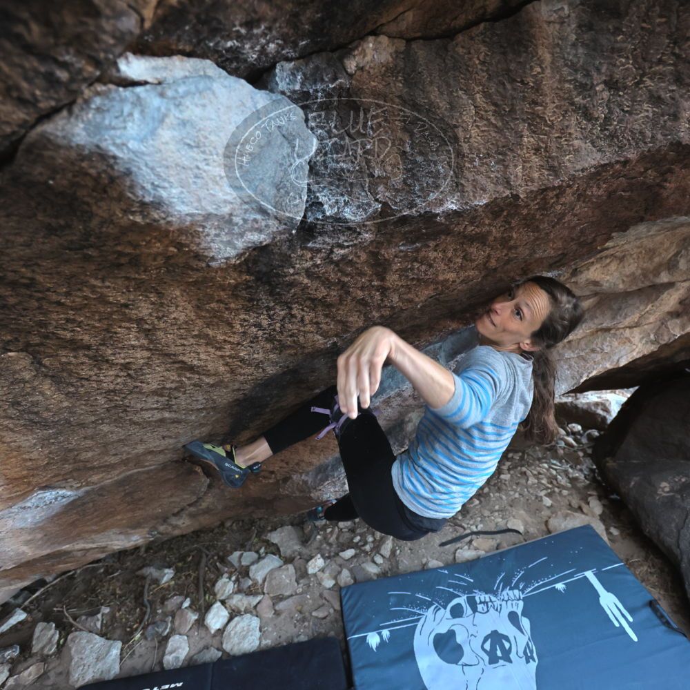 Filename: SRM_20220319_0832120.jpg
Aperture: f/4.0
Shutter Speed: 1/250
Body: Canon EOS R6
Lens: Canon EF 16-35mm f/2.8 L