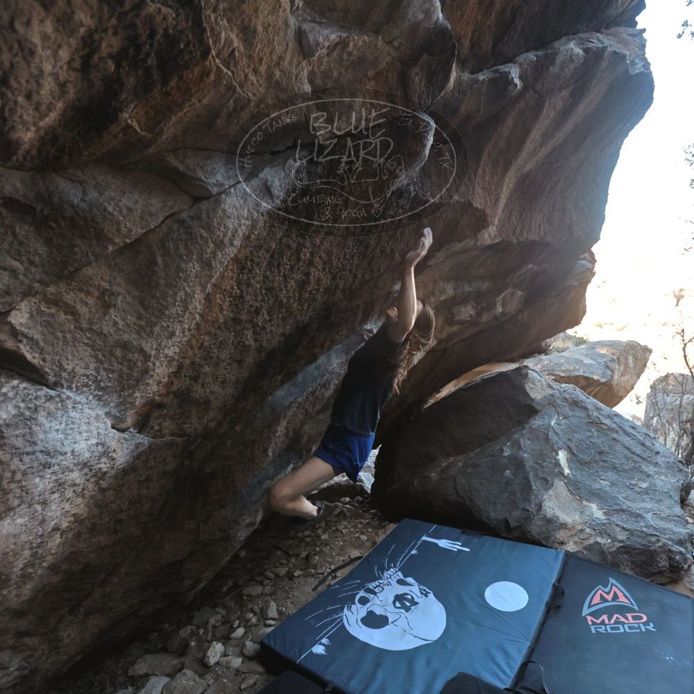 

Filename: SRM_20220319_0838220.jpg
Aperture: f/4.0
Shutter Speed: 1/500
Body: Canon EOS R6
Lens: Canon EF 16-35mm f/2.8 L