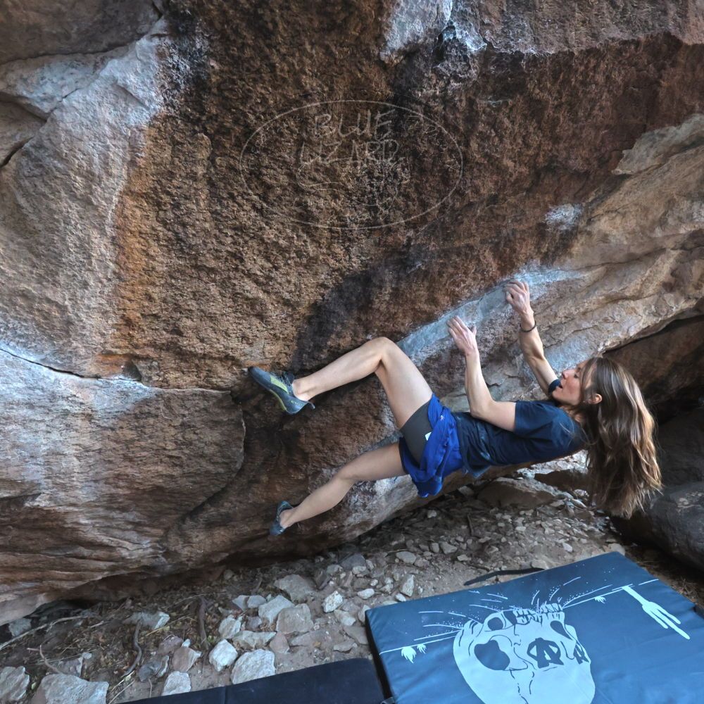 

Filename: SRM_20220319_0839240.jpg
Aperture: f/4.0
Shutter Speed: 1/500
Body: Canon EOS R6
Lens: Canon EF 16-35mm f/2.8 L