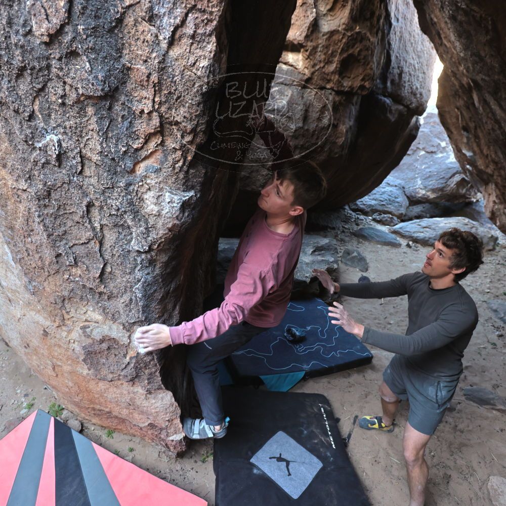 Filename: SRM_20220319_0847140.jpg
Aperture: f/4.0
Shutter Speed: 1/250
Body: Canon EOS R6
Lens: Canon EF 16-35mm f/2.8 L