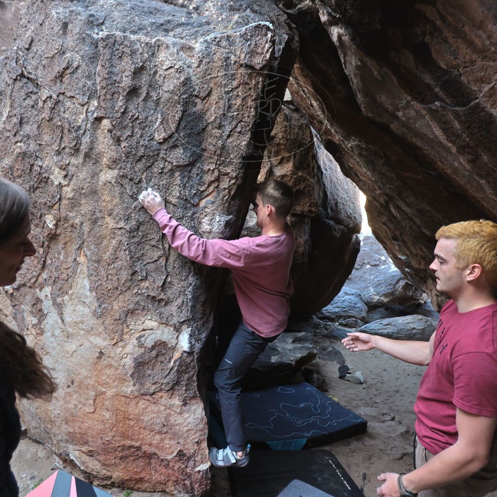 Filename: SRM_20220319_0850281.jpg
Aperture: f/4.0
Shutter Speed: 1/250
Body: Canon EOS R6
Lens: Canon EF 16-35mm f/2.8 L