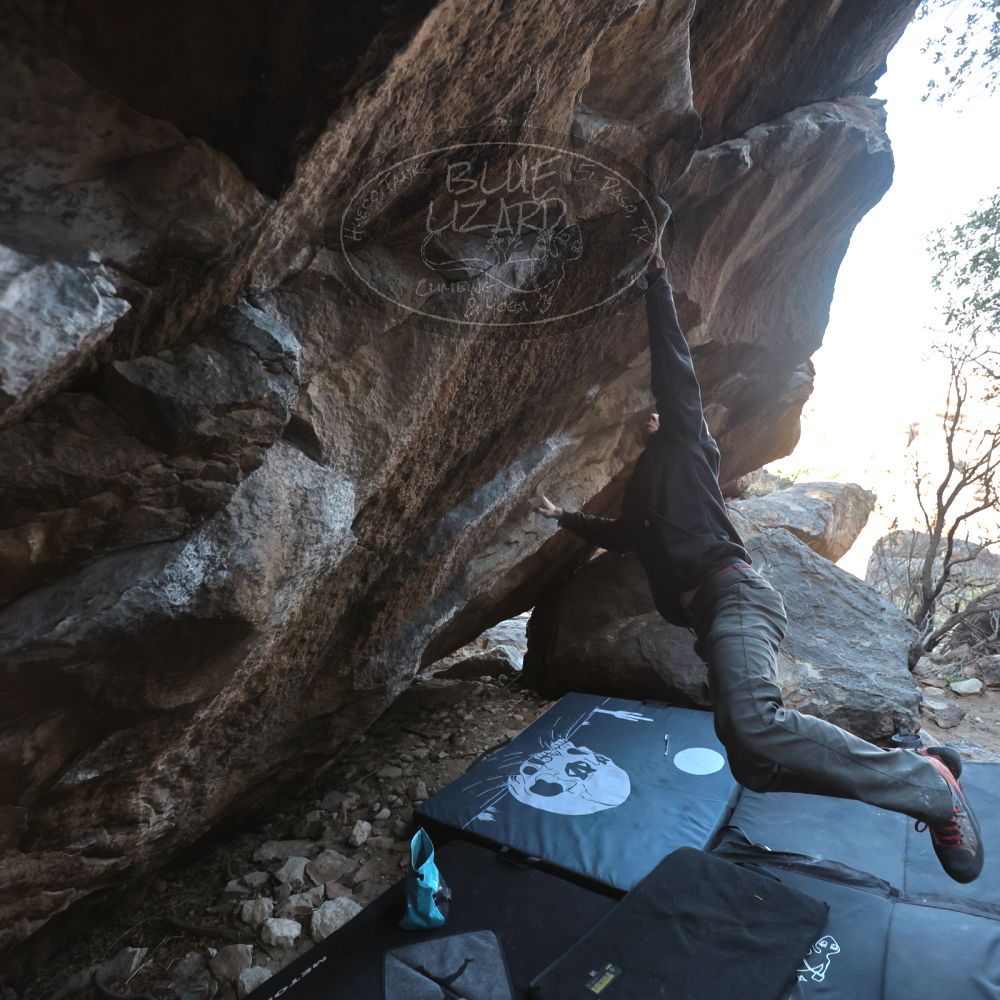 Filename: SRM_20220319_0851164.jpg
Aperture: f/4.0
Shutter Speed: 1/500
Body: Canon EOS R6
Lens: Canon EF 16-35mm f/2.8 L