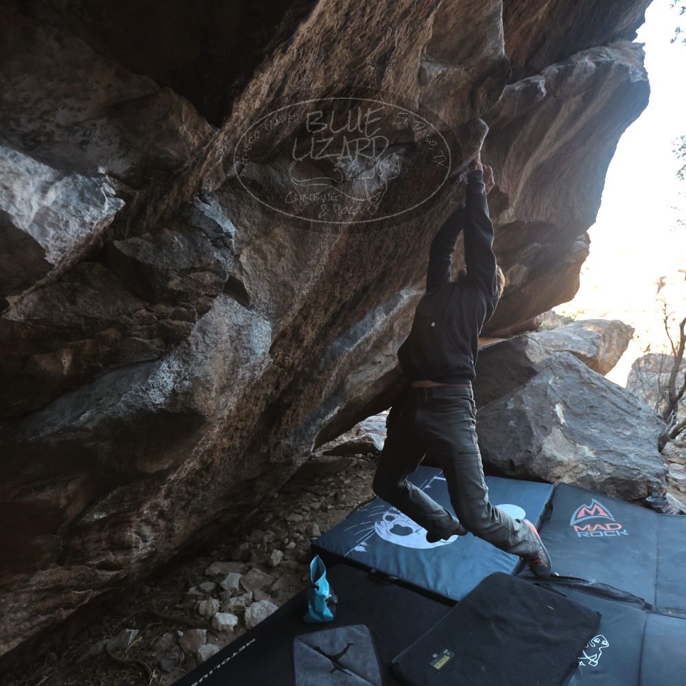 

Filename: SRM_20220319_0851170.jpg
Aperture: f/4.0
Shutter Speed: 1/500
Body: Canon EOS R6
Lens: Canon EF 16-35mm f/2.8 L