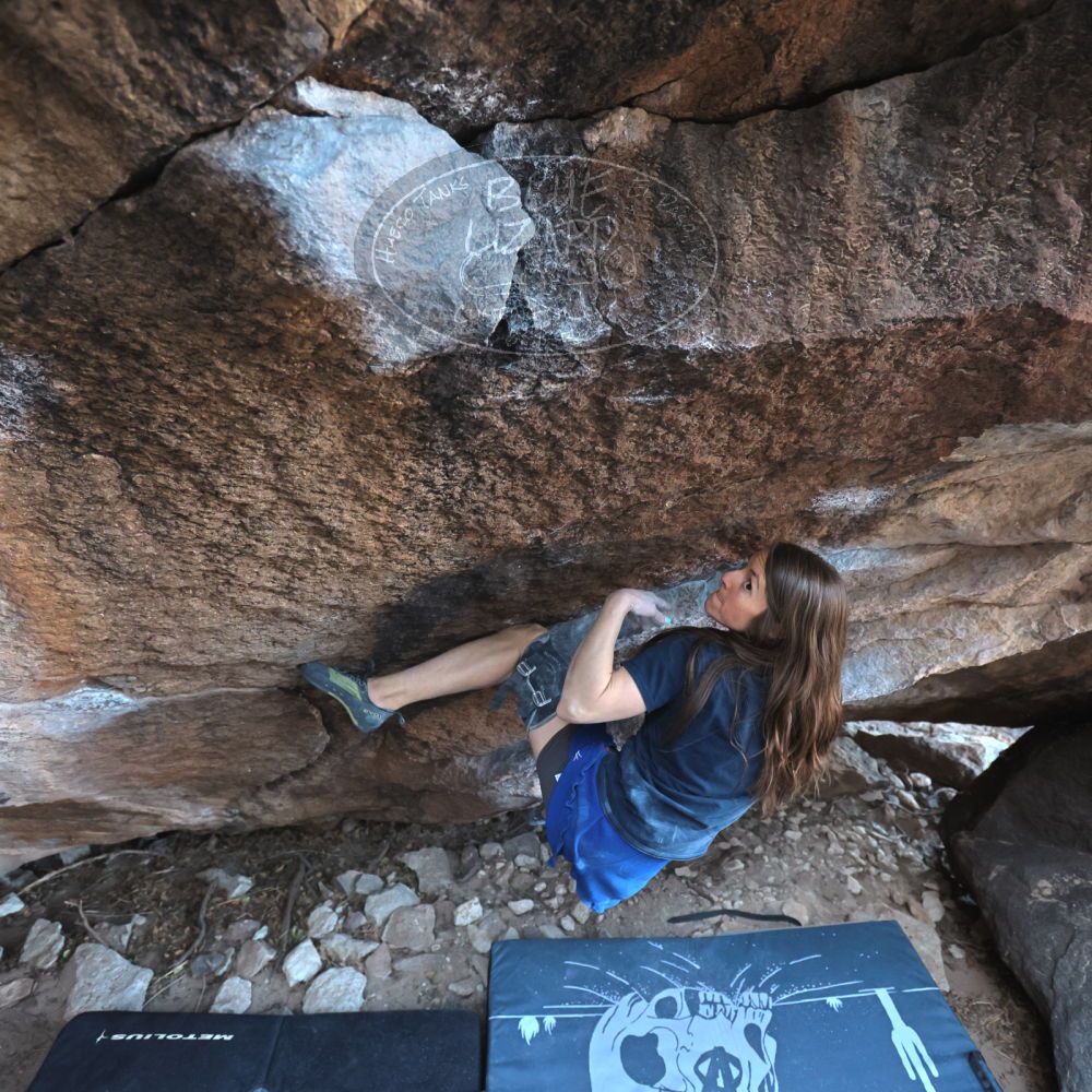 Filename: SRM_20220319_0856020.jpg
Aperture: f/4.0
Shutter Speed: 1/250
Body: Canon EOS R6
Lens: Canon EF 16-35mm f/2.8 L