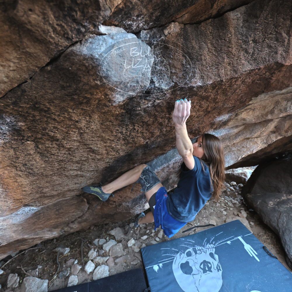 Filename: SRM_20220319_0857240.jpg
Aperture: f/4.0
Shutter Speed: 1/250
Body: Canon EOS R6
Lens: Canon EF 16-35mm f/2.8 L