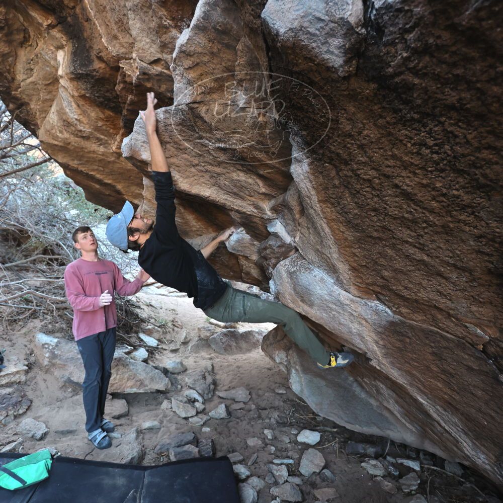 Filename: SRM_20220319_0902200.jpg
Aperture: f/4.0
Shutter Speed: 1/250
Body: Canon EOS R6
Lens: Canon EF 16-35mm f/2.8 L