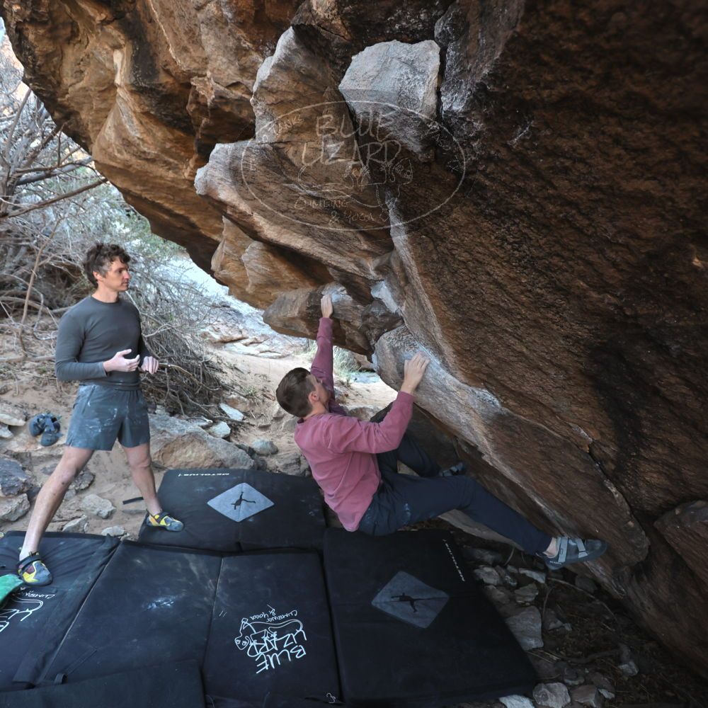 

Filename: SRM_20220319_0907060.jpg
Aperture: f/4.0
Shutter Speed: 1/250
Body: Canon EOS R6
Lens: Canon EF 16-35mm f/2.8 L