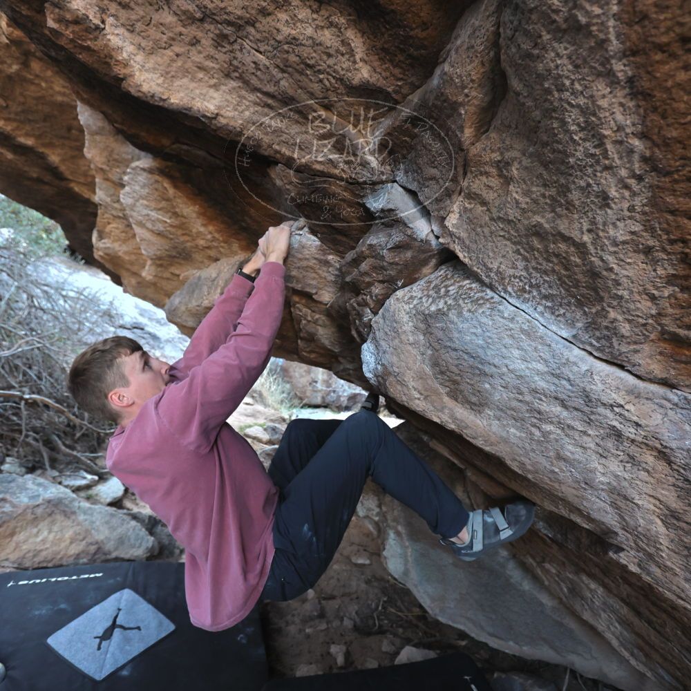 Filename: SRM_20220319_0907490.jpg
Aperture: f/4.0
Shutter Speed: 1/250
Body: Canon EOS R6
Lens: Canon EF 16-35mm f/2.8 L