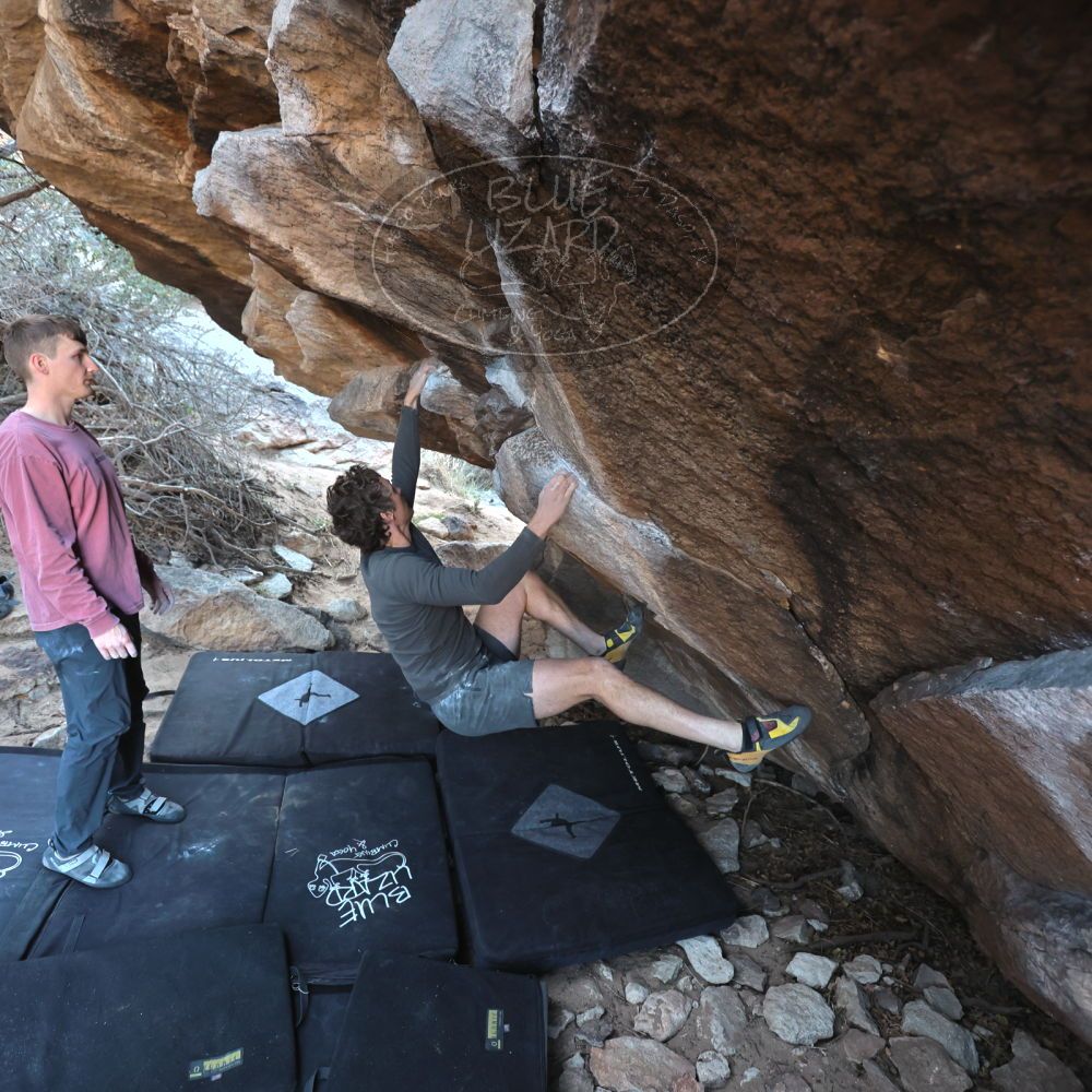 

Filename: SRM_20220319_0909410.jpg
Aperture: f/4.0
Shutter Speed: 1/250
Body: Canon EOS R6
Lens: Canon EF 16-35mm f/2.8 L