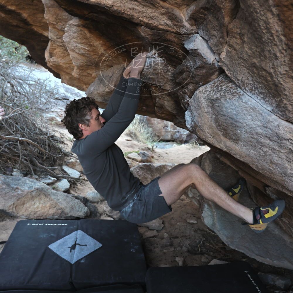 Filename: SRM_20220319_0909450.jpg
Aperture: f/4.0
Shutter Speed: 1/250
Body: Canon EOS R6
Lens: Canon EF 16-35mm f/2.8 L