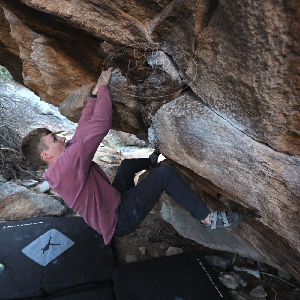 

Filename: SRM_20220319_0912380.jpg
Aperture: f/4.0
Shutter Speed: 1/250
Body: Canon EOS R6
Lens: Canon EF 16-35mm f/2.8 L