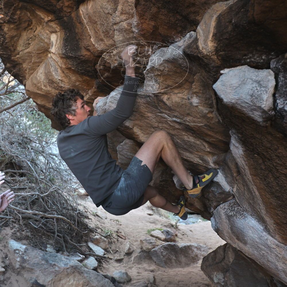 

Filename: SRM_20220319_0915440.jpg
Aperture: f/4.0
Shutter Speed: 1/250
Body: Canon EOS R6
Lens: Canon EF 16-35mm f/2.8 L