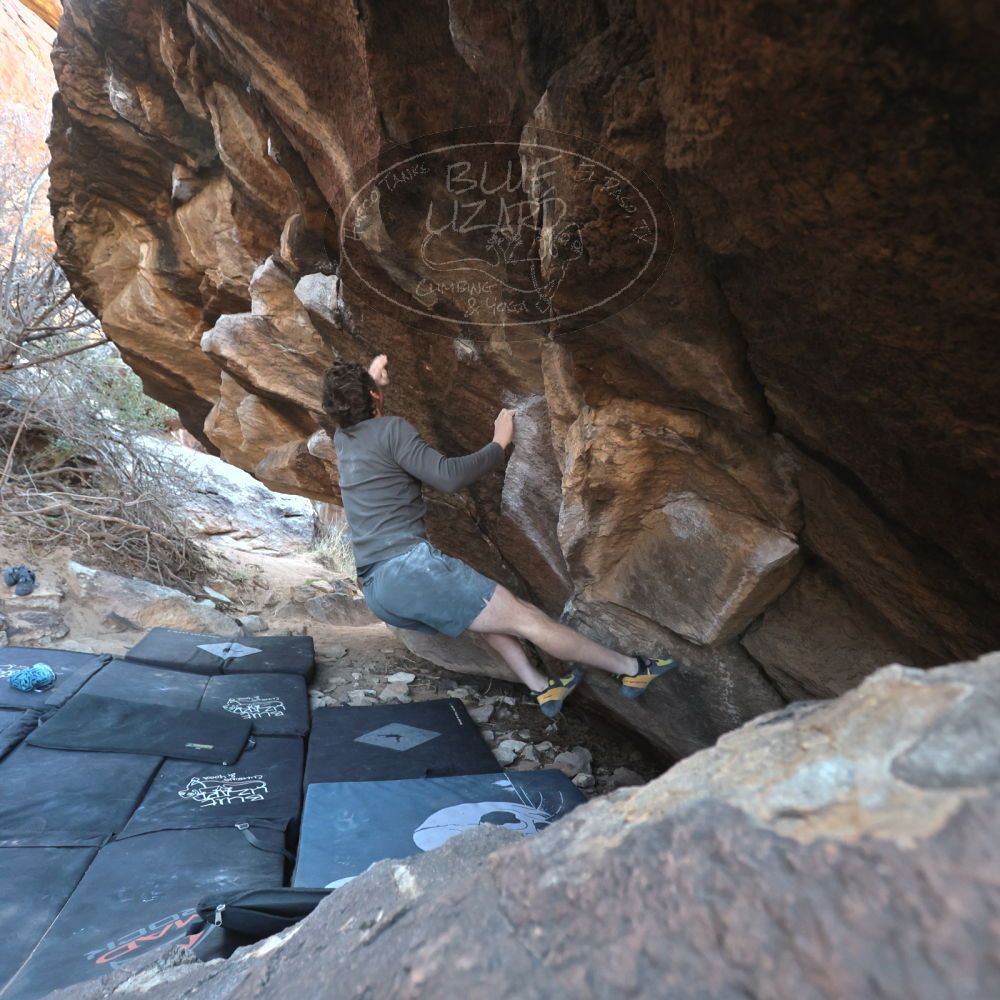 

Filename: SRM_20220319_0924520.jpg
Aperture: f/4.0
Shutter Speed: 1/500
Body: Canon EOS R6
Lens: Canon EF 16-35mm f/2.8 L