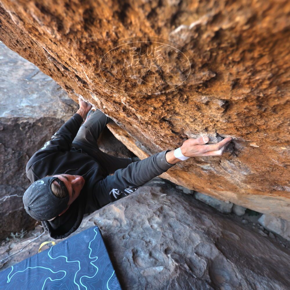 Filename: SRM_20220319_0934120.jpg
Aperture: f/4.0
Shutter Speed: 1/500
Body: Canon EOS R6
Lens: Canon EF 16-35mm f/2.8 L