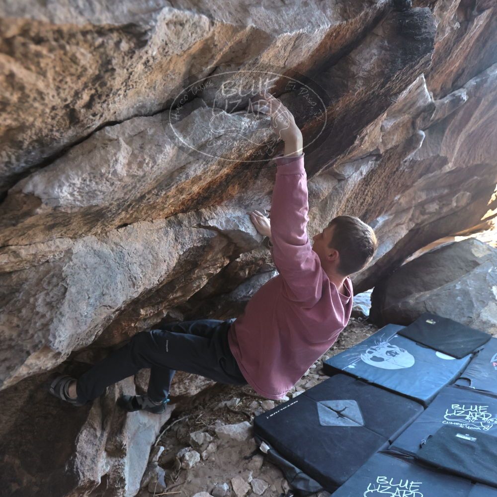 Filename: SRM_20220319_0939560.jpg
Aperture: f/4.0
Shutter Speed: 1/500
Body: Canon EOS R6
Lens: Canon EF 16-35mm f/2.8 L