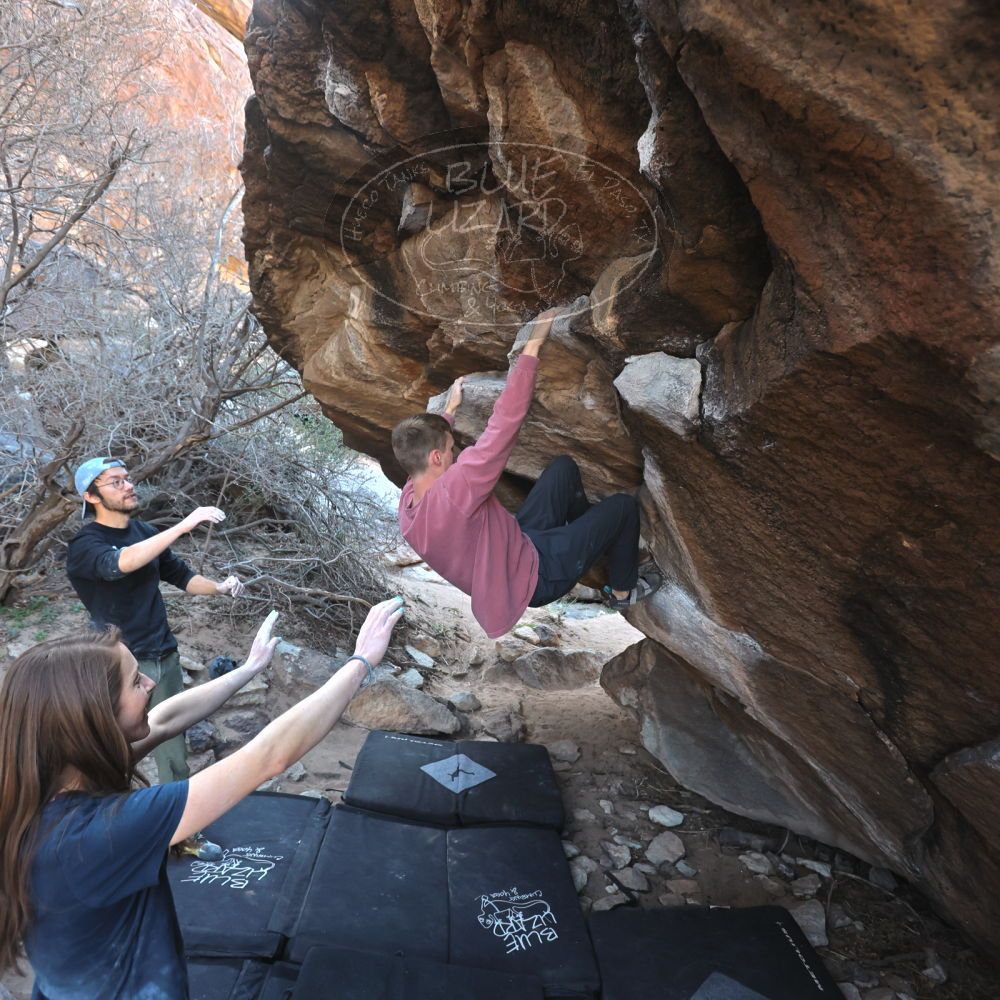 Filename: SRM_20220319_0940170.jpg
Aperture: f/4.0
Shutter Speed: 1/500
Body: Canon EOS R6
Lens: Canon EF 16-35mm f/2.8 L