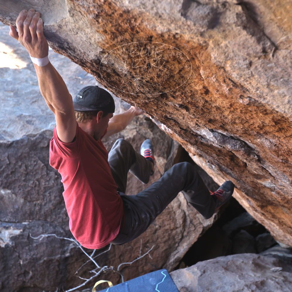 Filename: SRM_20220319_0959500.jpg
Aperture: f/4.0
Shutter Speed: 1/500
Body: Canon EOS R6
Lens: Canon EF 16-35mm f/2.8 L