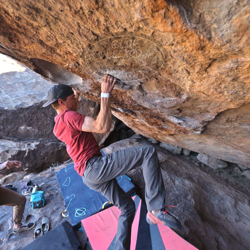 Filename: SRM_20220319_1000112.jpg
Aperture: f/4.0
Shutter Speed: 1/500
Body: Canon EOS R6
Lens: Canon EF 16-35mm f/2.8 L