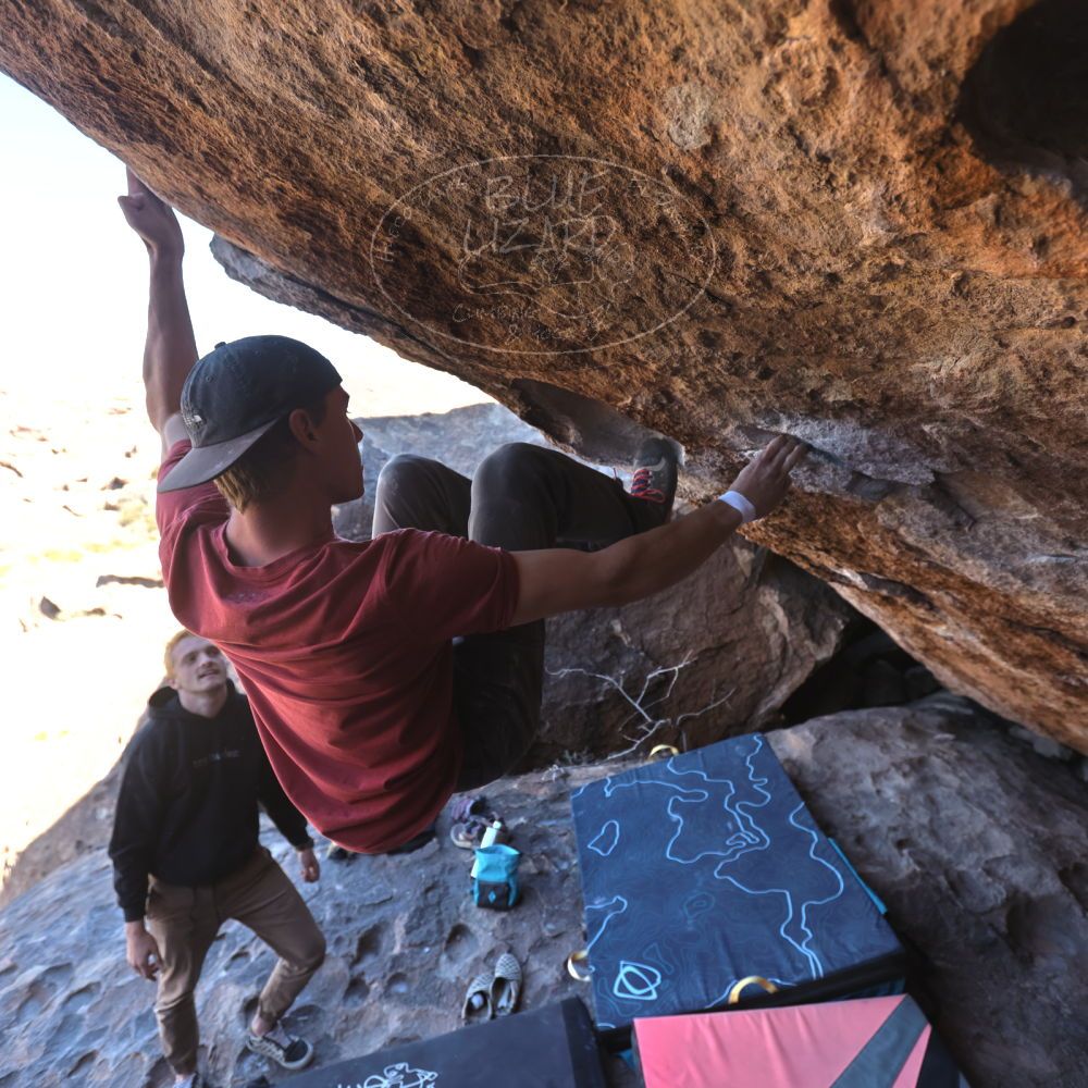 Filename: SRM_20220319_1000220.jpg
Aperture: f/4.0
Shutter Speed: 1/500
Body: Canon EOS R6
Lens: Canon EF 16-35mm f/2.8 L