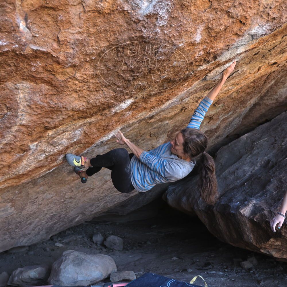 Filename: SRM_20220319_1008320.jpg
Aperture: f/4.0
Shutter Speed: 1/500
Body: Canon EOS R6
Lens: Canon EF 16-35mm f/2.8 L