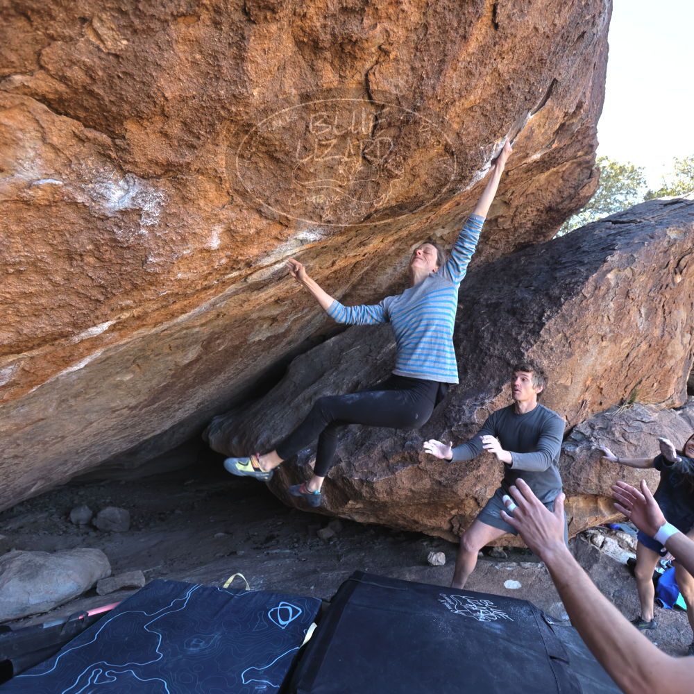 Filename: SRM_20220319_1008462.jpg
Aperture: f/4.0
Shutter Speed: 1/500
Body: Canon EOS R6
Lens: Canon EF 16-35mm f/2.8 L