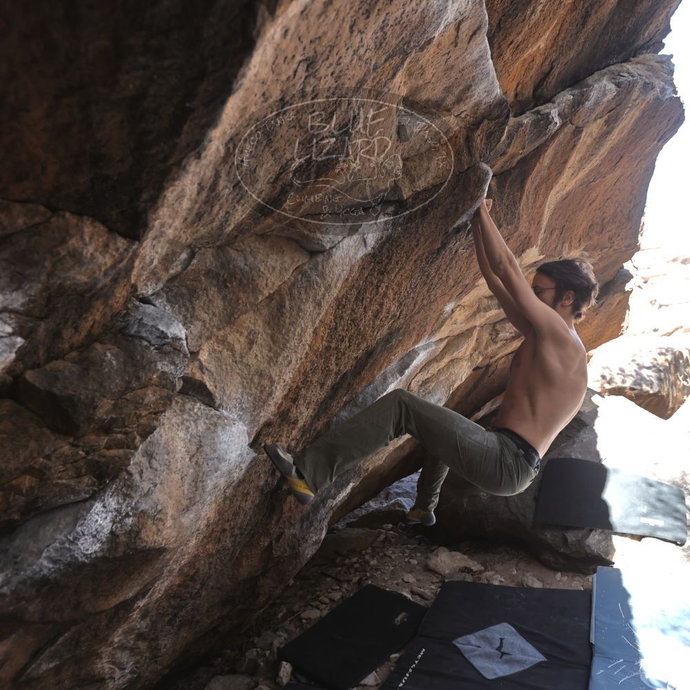 Filename: SRM_20220319_1015260.jpg
Aperture: f/4.0
Shutter Speed: 1/500
Body: Canon EOS R6
Lens: Canon EF 16-35mm f/2.8 L