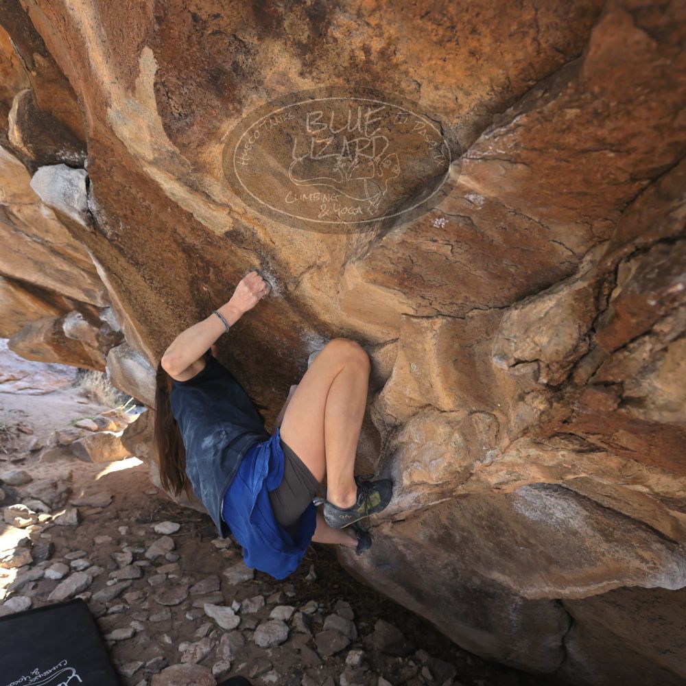 Filename: SRM_20220319_1024140.jpg
Aperture: f/5.6
Shutter Speed: 1/250
Body: Canon EOS R6
Lens: Canon EF 16-35mm f/2.8 L