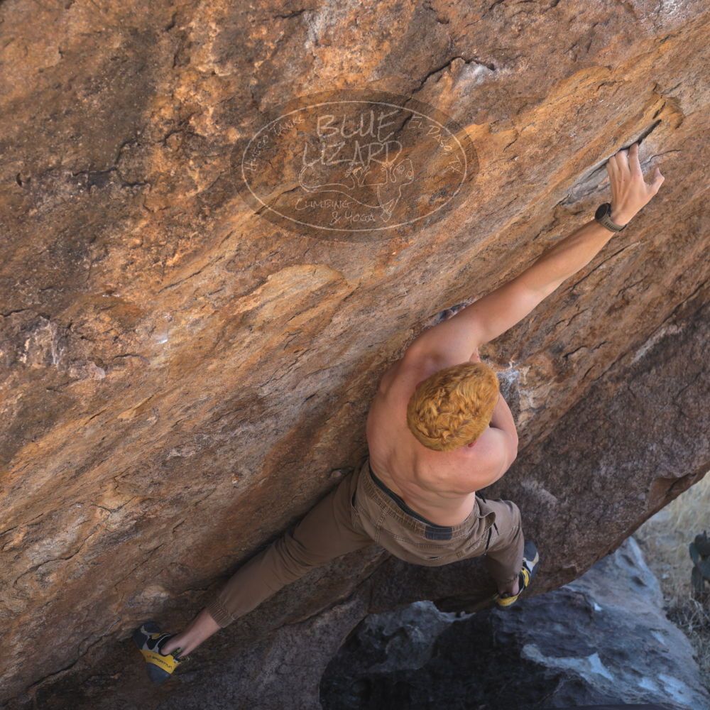 

Filename: SRM_20220319_1111150.jpg
Aperture: f/5.6
Shutter Speed: 1/250
Body: Canon EOS R6
Lens: Canon EF 50mm f/1.8 II