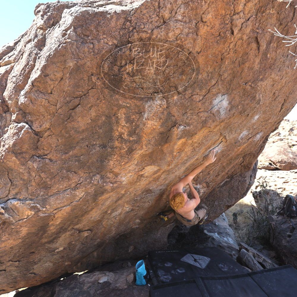 

Filename: SRM_20220319_1128530.jpg
Aperture: f/5.6
Shutter Speed: 1/250
Body: Canon EOS R6
Lens: Canon EF 16-35mm f/2.8 L