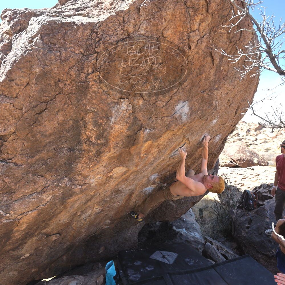 Filename: SRM_20220319_1128571.jpg
Aperture: f/5.6
Shutter Speed: 1/250
Body: Canon EOS R6
Lens: Canon EF 16-35mm f/2.8 L