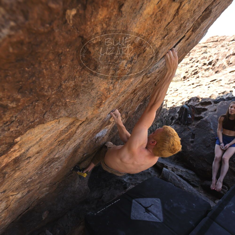 Filename: SRM_20220319_1140160.jpg
Aperture: f/5.6
Shutter Speed: 1/250
Body: Canon EOS R6
Lens: Canon EF 16-35mm f/2.8 L