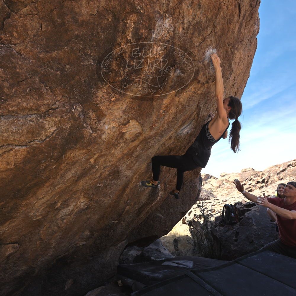 Filename: SRM_20220319_1146170.jpg
Aperture: f/5.6
Shutter Speed: 1/500
Body: Canon EOS R6
Lens: Canon EF 16-35mm f/2.8 L